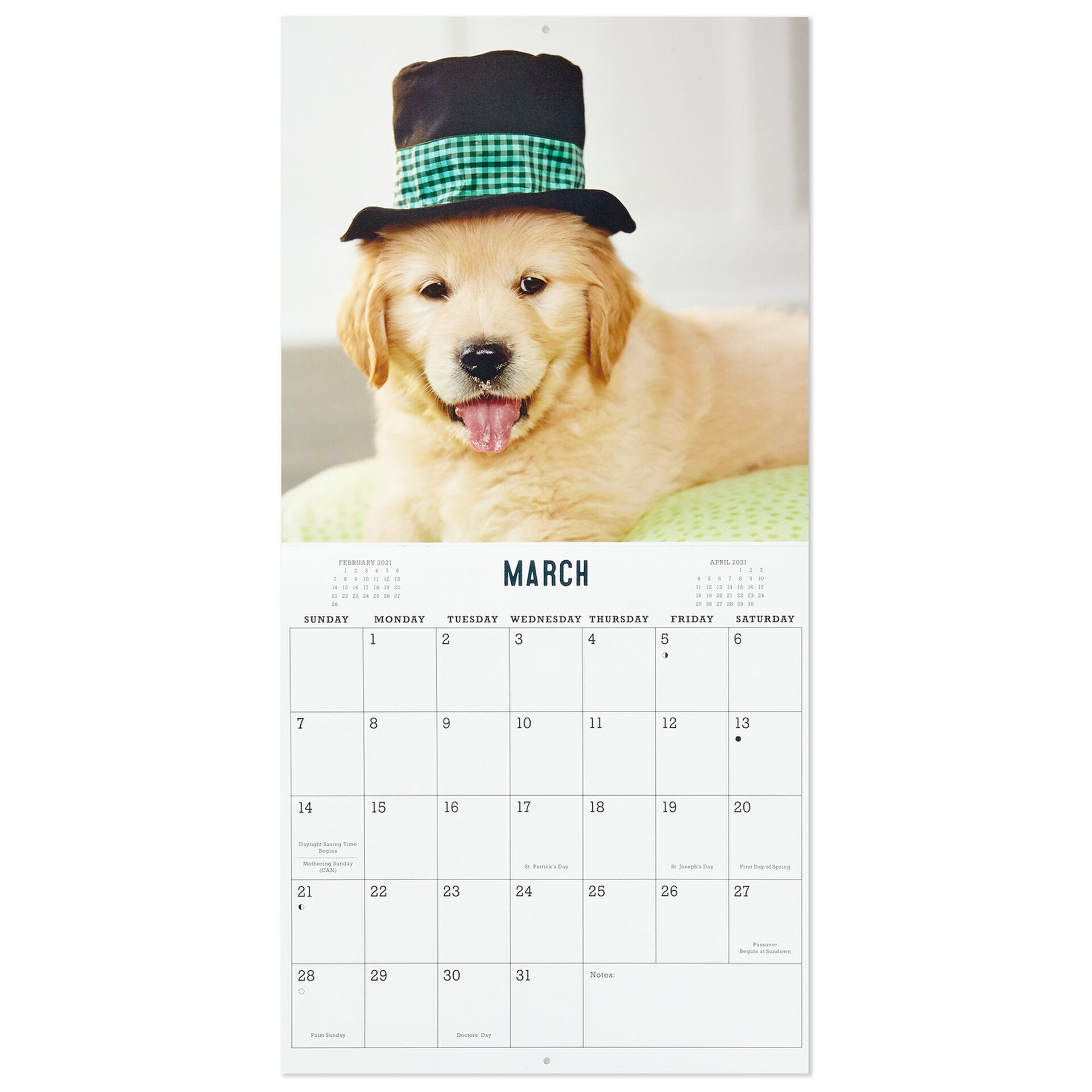 Dog Days 2021 Wall Calendar 12 Month Calendars Planners Hallmark pet calendar 2021