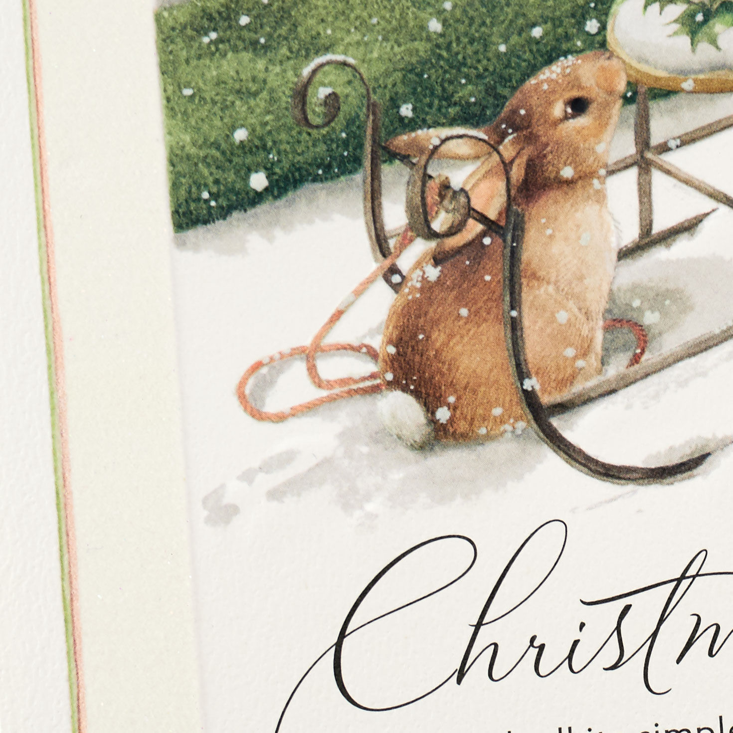 Marjolein Bastin Surrounded in Love Christmas Card for only USD 5.59 | Hallmark