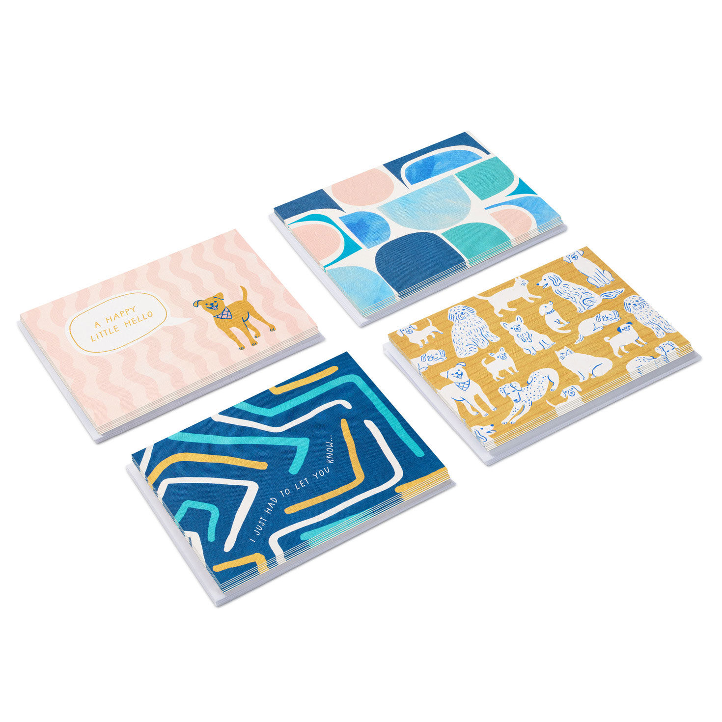Playful Pets and Patterns Assorted Blank Notes in Designed Box, Pack of 24