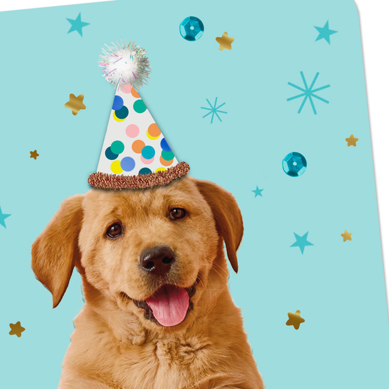 Puppy Dog on Cake Birthday Card Card Front Detail image number 4