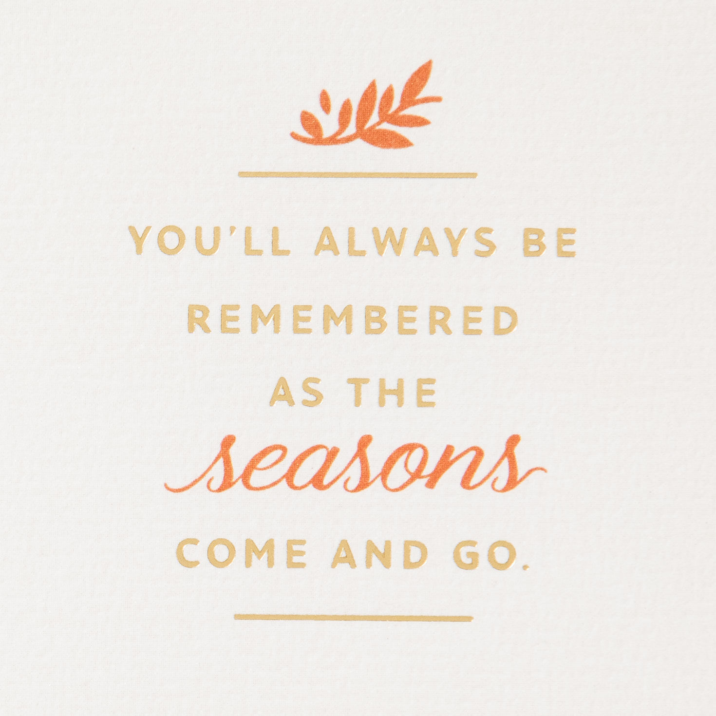 As the Seasons Come and Go Halloween Card for only USD 4.59 | Hallmark