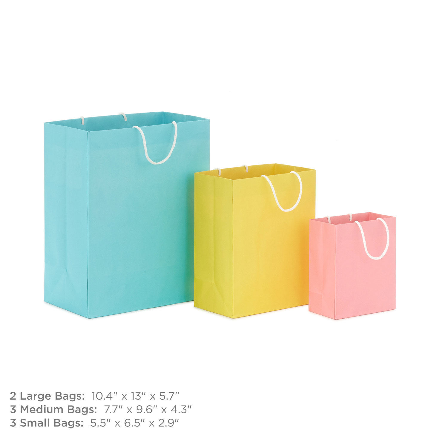 Solid Pastel Gift Bags in Assorted Sizes measurement image number 3