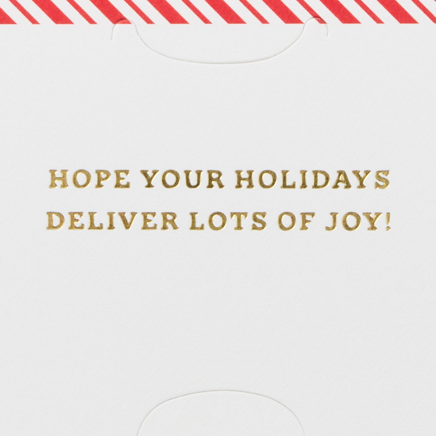 Christmas Truck Paper Craft Gift Card Holder Sentiment image number 2