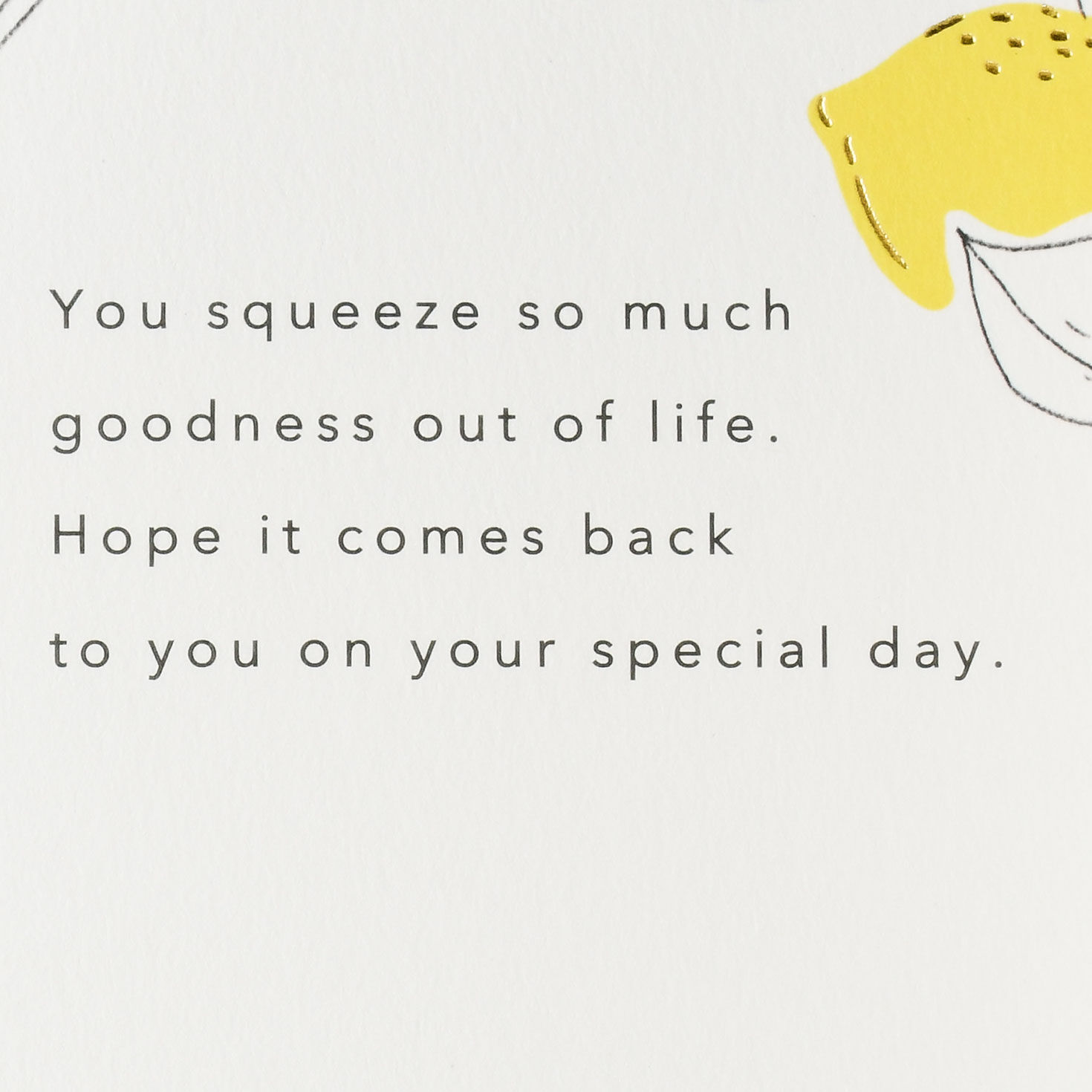 All the Goodness for You Birthday Card, , large image number 2