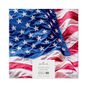 Stars and Stripes 550-Piece Jigsaw Puzzle, , large image number 1