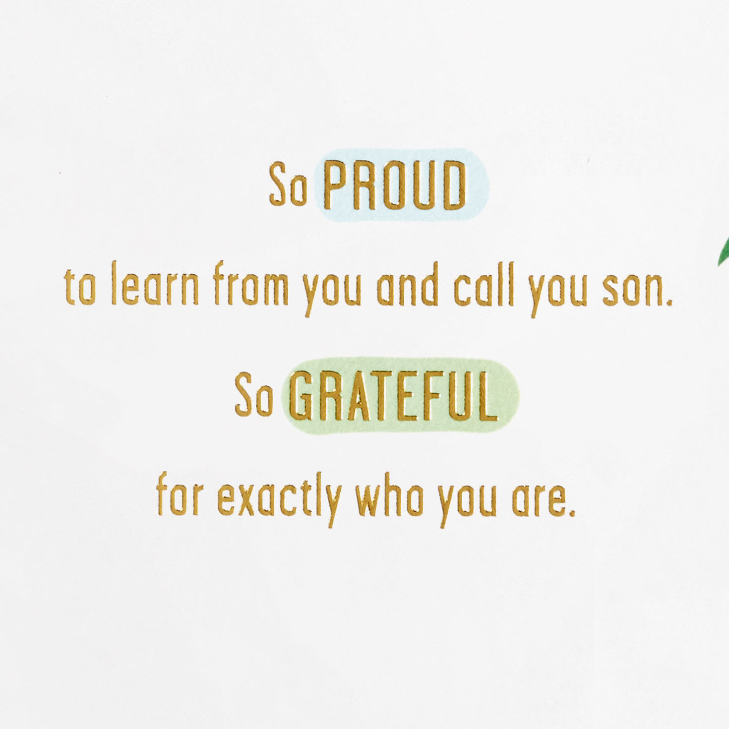 Proud of Exactly Who You Are Birthday Card for Son, , large image number 3