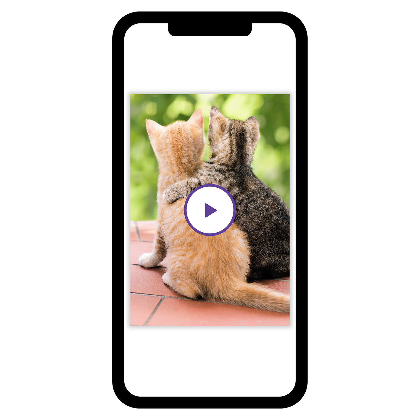 A Friend Like You Friendship eCard