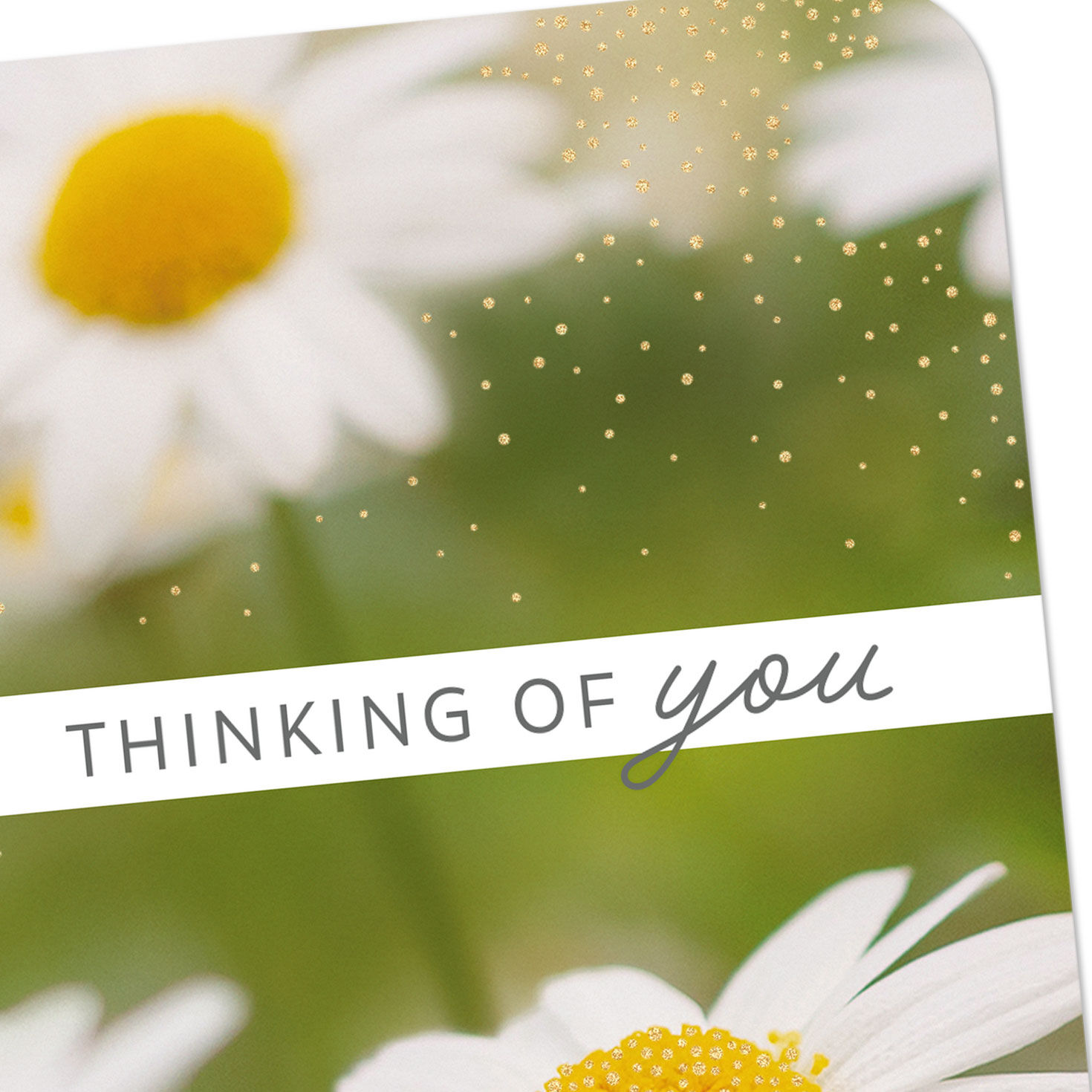 Daisy Flowers Thinking of You Card Card Front Detail image number 4