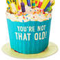 You're Not That Old Funny Pop-Up Birthday Card, , large image number 5