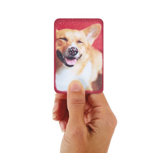 3.25" Mini Million Bits of Happy Corgi Dog Card, 