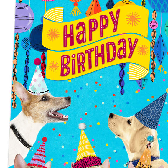 16" Party Cats and Dogs Jumbo Birthday Card From All, , large image number 4