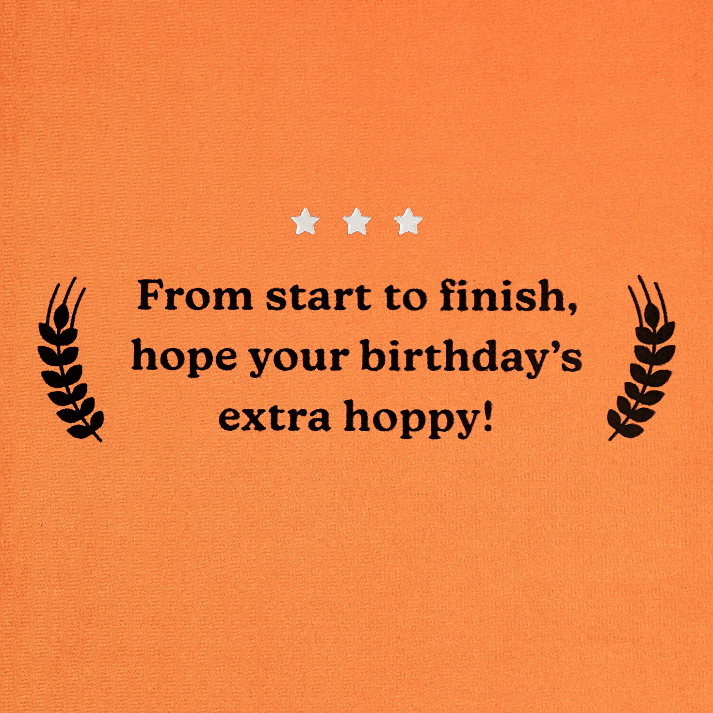 Beer Can Funny Birthday Card With Can Cooler Sentiment image number 2