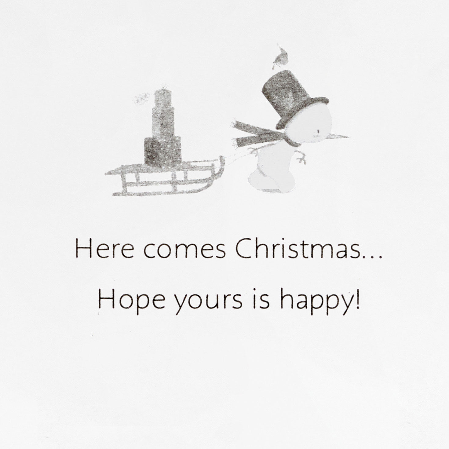 Santa Friends in Snow Boxed Christmas Cards Pack sentiment image number 4