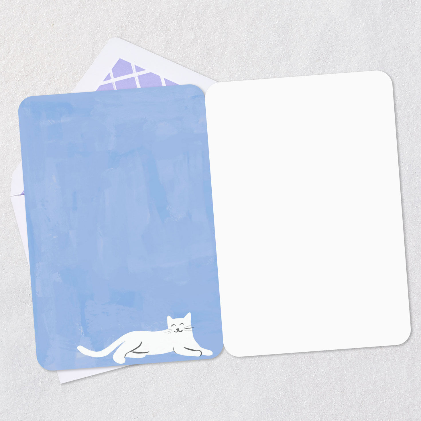 Black and White Cats Blank Card Open card with envelope image number 2