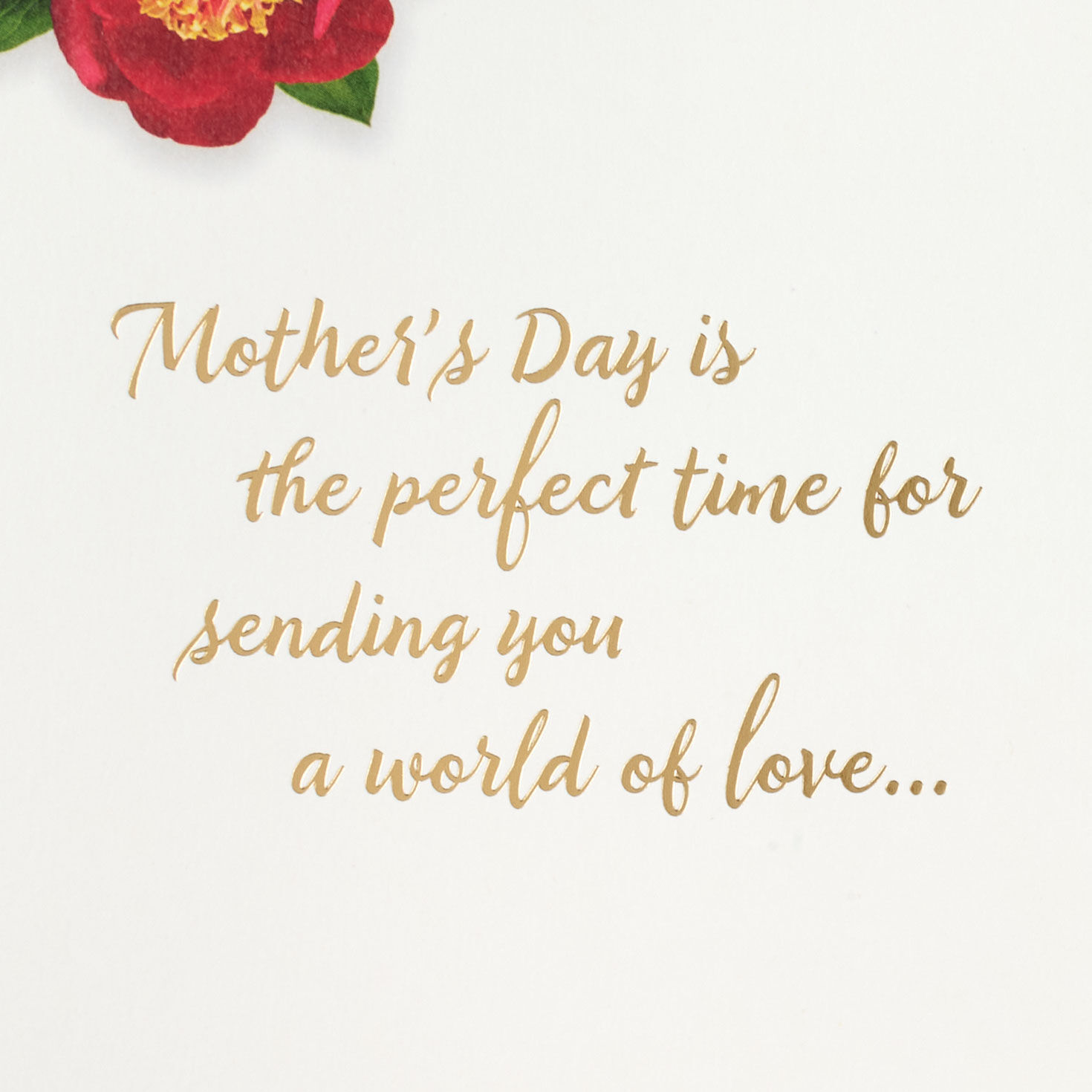Sending You a World of Love Mother's Day Card for Daughter-in-Law for only USD 5.59 | Hallmark