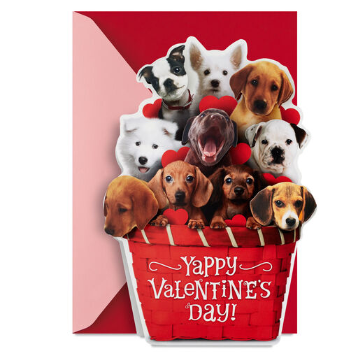 Puppy Dogs in Basket Funny Musical Valentine's Day Card, 