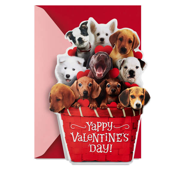 Puppy Dogs in Basket Funny Musical Valentine's Day Card