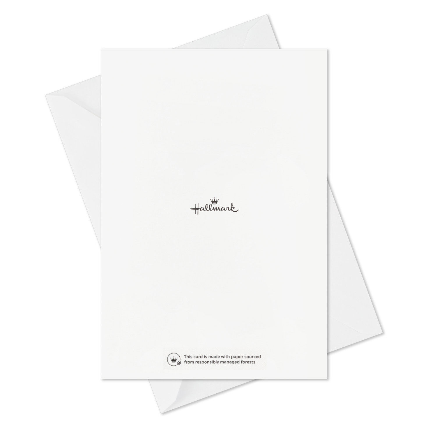 Flowers and Vines Thinking of You Cards Assortment Card Back with Envelope image number 7