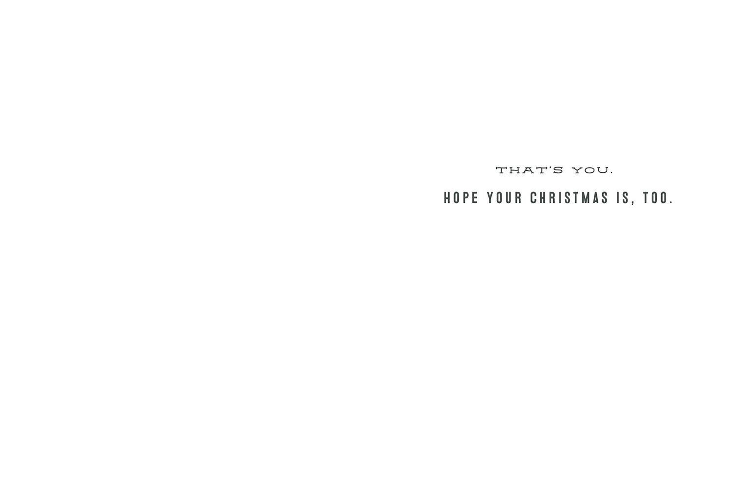 Sweet Candy Canes Christmas Card