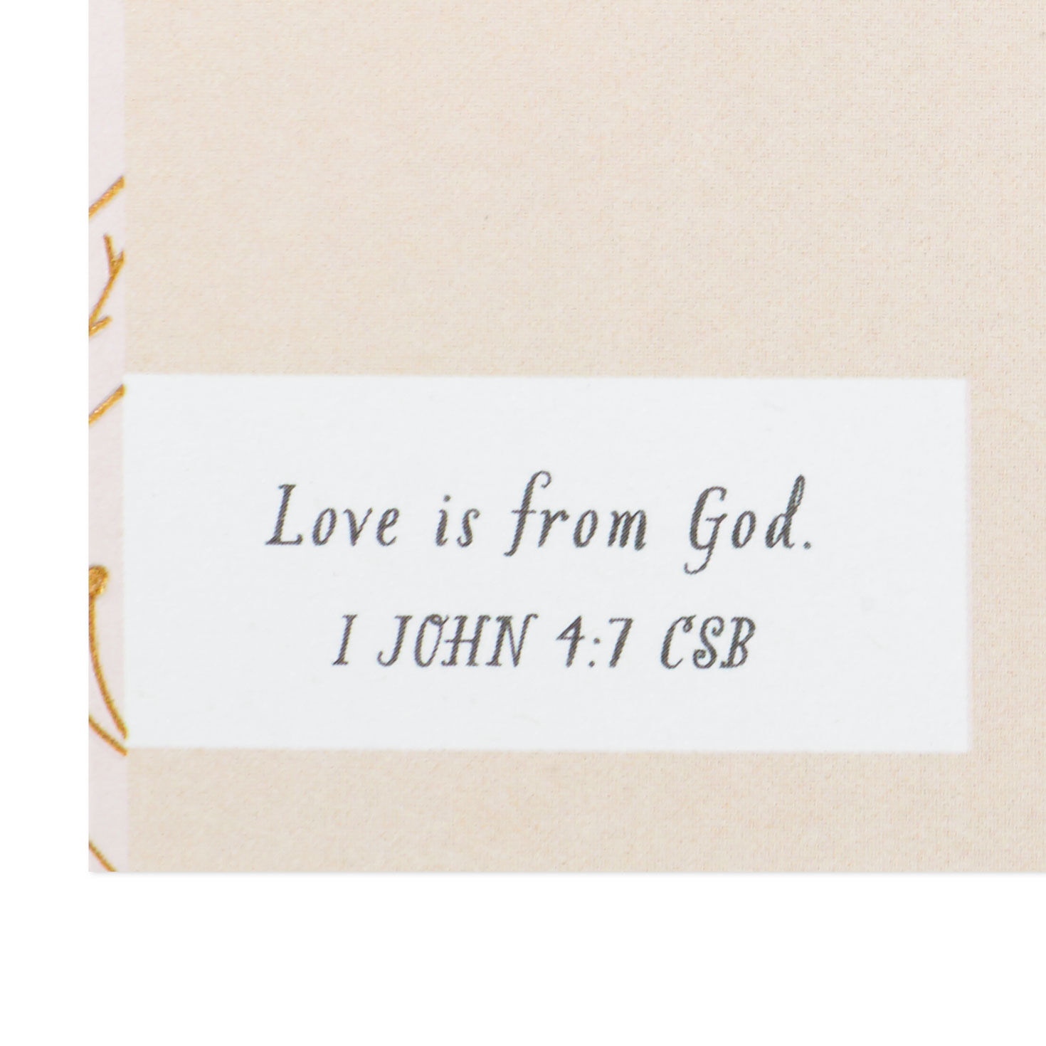 Pink and Gold Flowers Granddaughter Graduation Card scripture image number 3
