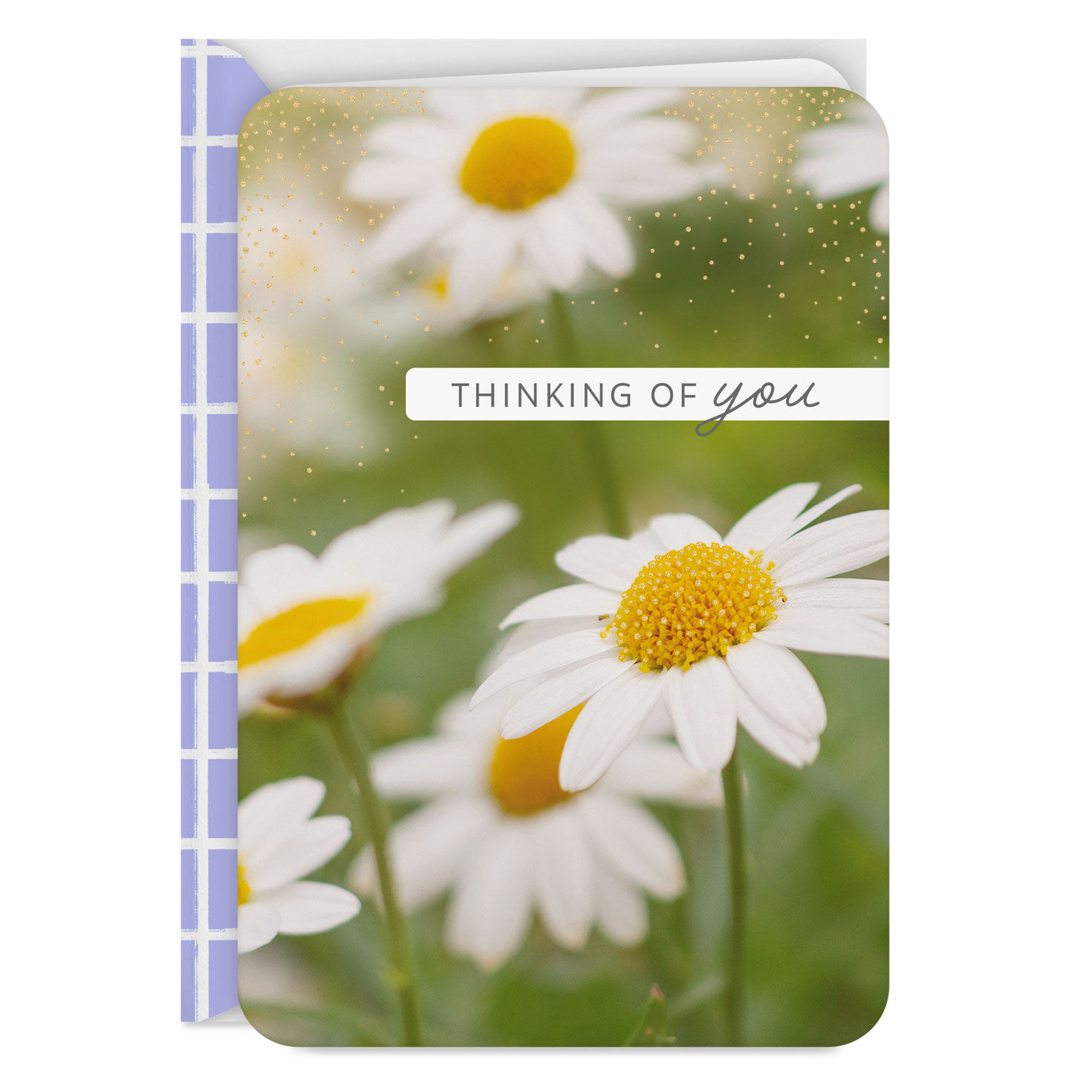 Hope You're Having a Good Day Thinking of You Card