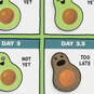 A Brief Guide to Avocados Funny Birthday Card, , large image number 4