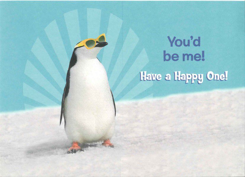 Chill Out Penguin Birthday Card for Sister