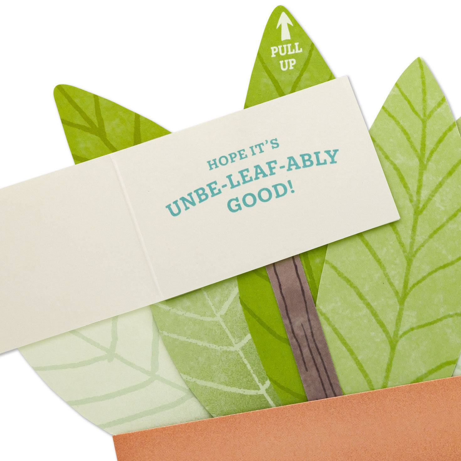 Pull-up Paper Craft Green Potted Plant Birthday Card Sentiment image number 2
