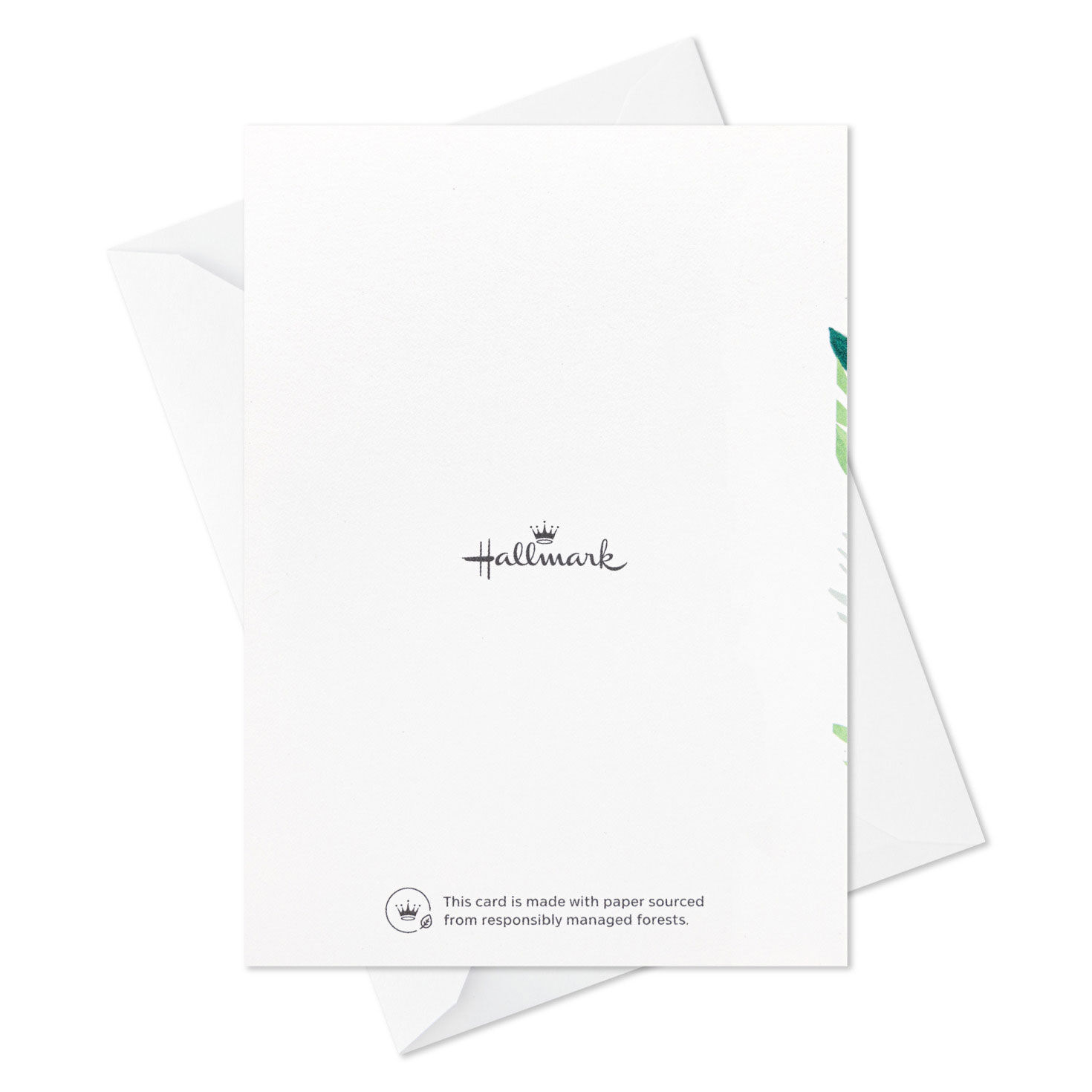 Fern Leaves Sympathy Blank Thank You Notes Pack  image number 6