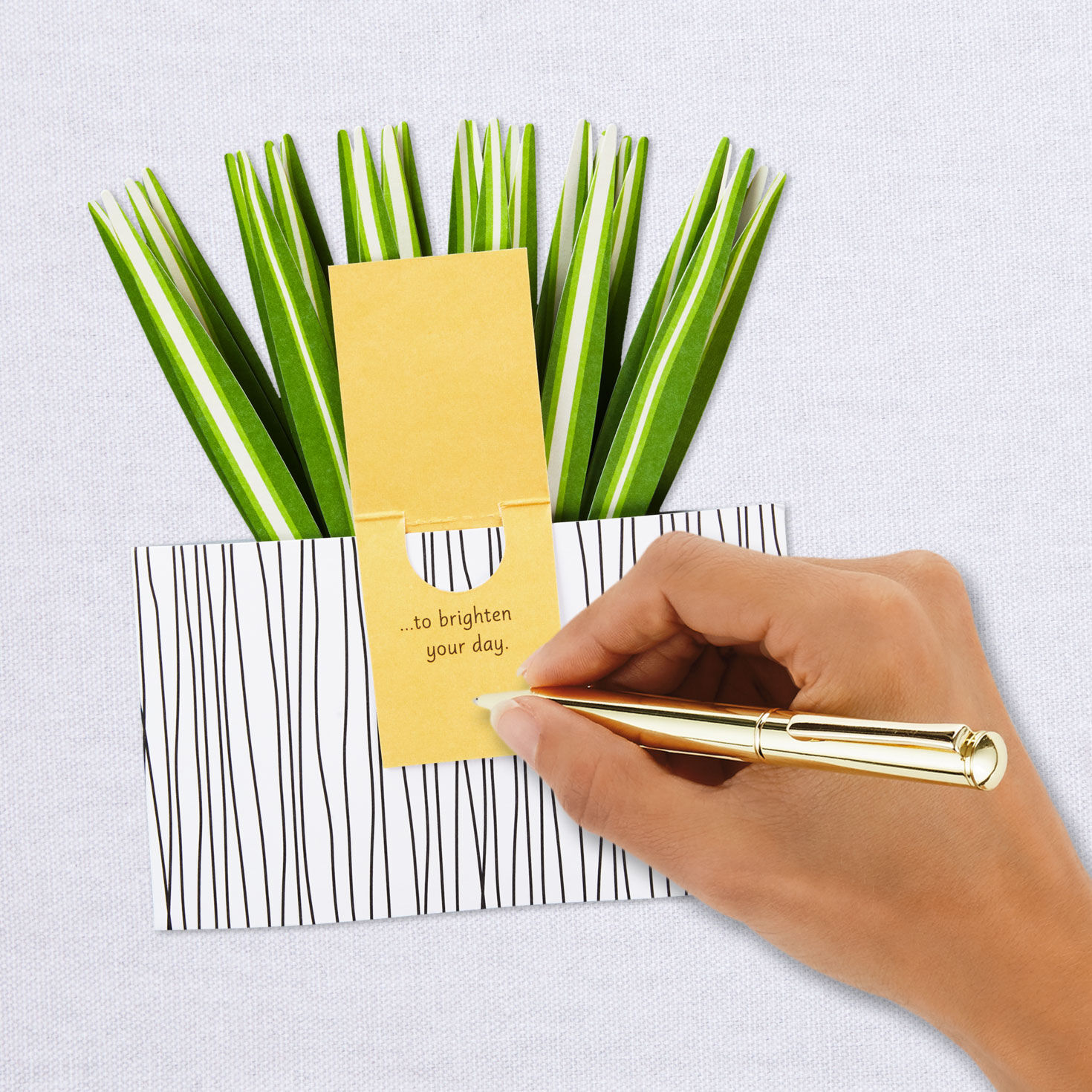 Spider Plant Keep Growing 3D Pop-Up Hello Card for only USD 7.99 | Hallmark