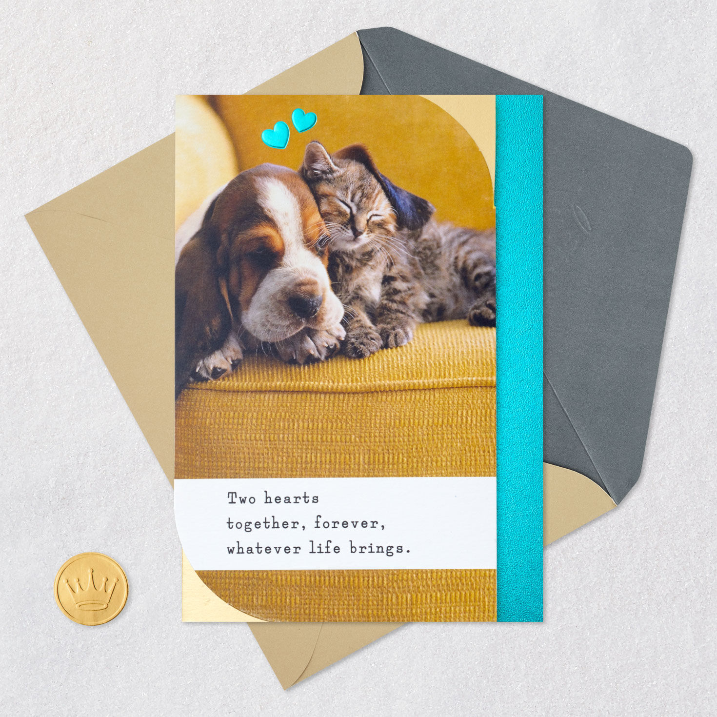 Snoozing Puppy and Kitten Anniversary Card, , large image number 5