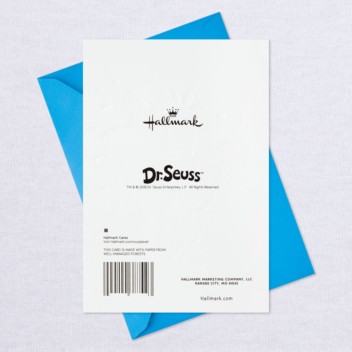 Dr. Seuss&trade; Have Your Birthday Here or There Birthday Card, , large image number 8