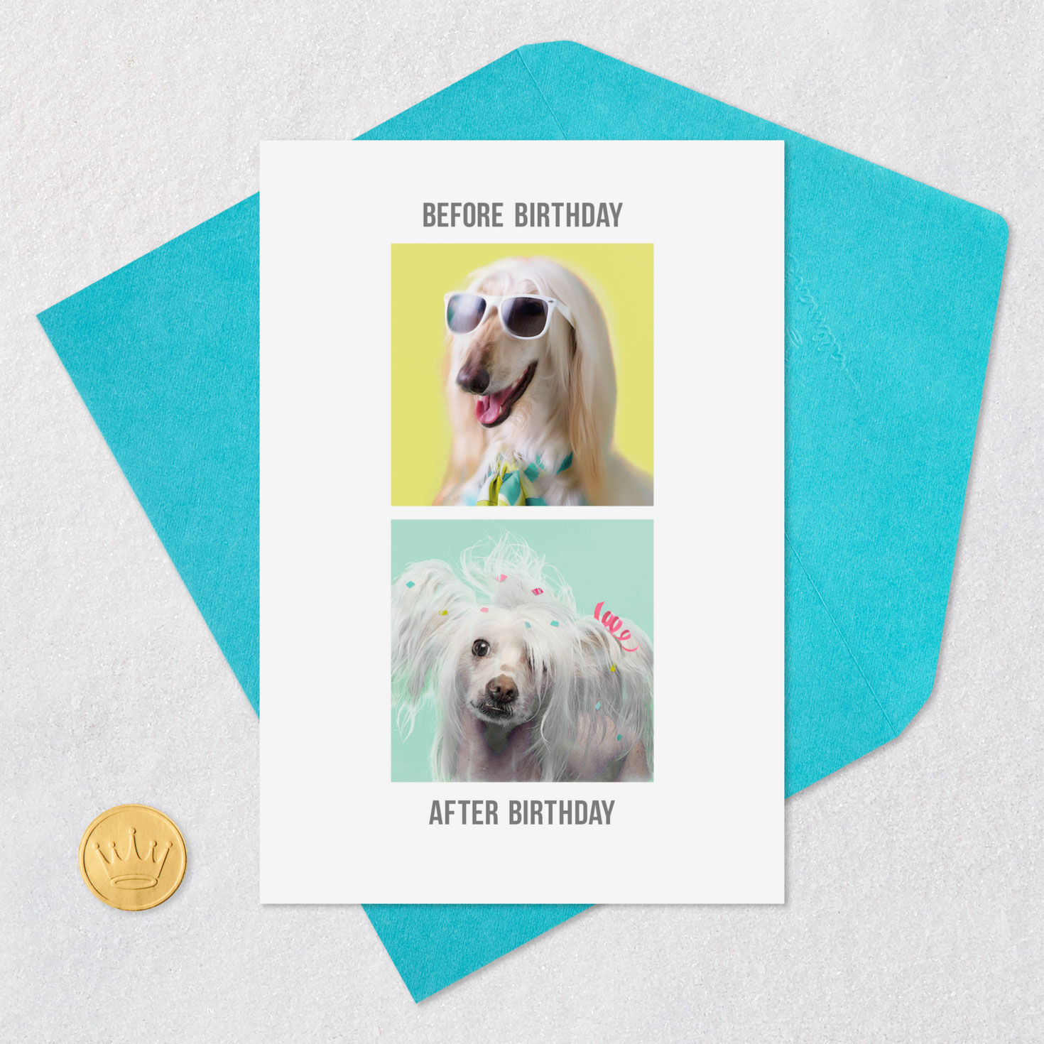 Before and After Party Dog Funny Birthday Card Card Front with Envelope and Gold Seal image number 5