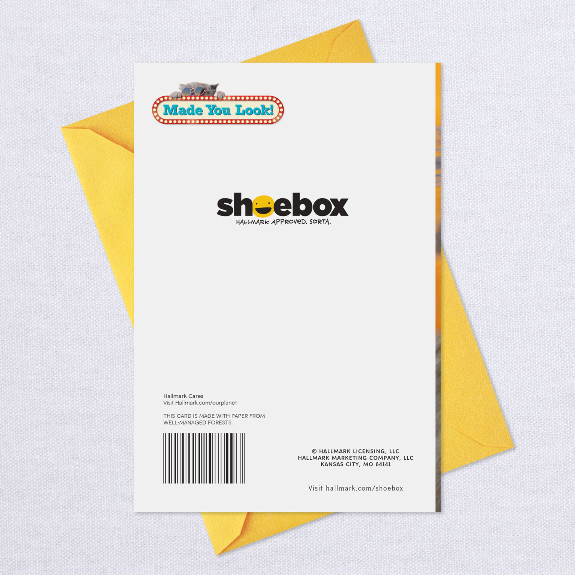 Light the Candles Cat in Sunglasses Funny Birthday Card Greeting