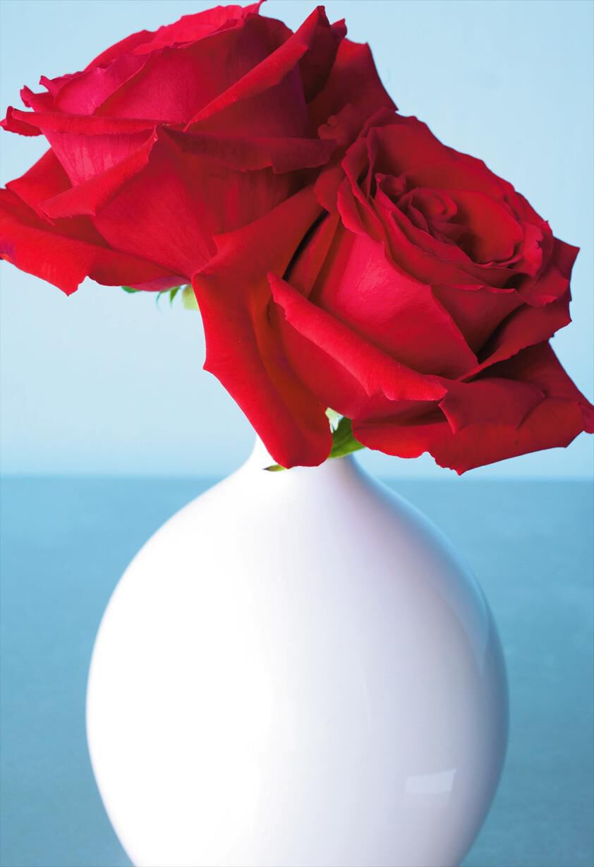 Two Red Roses in White Vase Blank Love Card