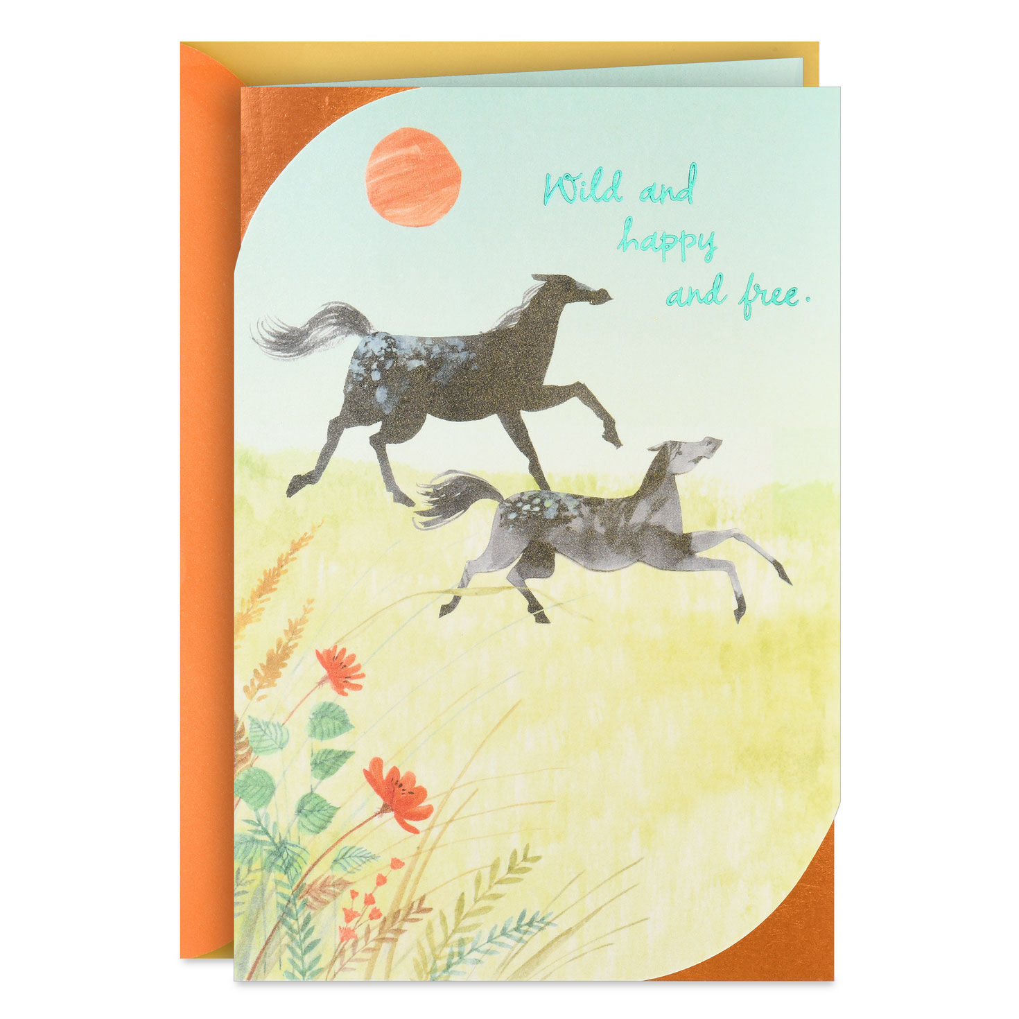Wild, Happy and Free Birthday Card for only USD 4.59 | Hallmark