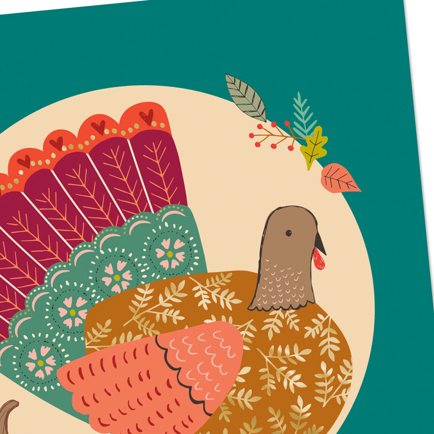 Feeling So Thankful Turkey Thanksgiving Cards, Pack of 6 for only USD 4.99 | Hallmark