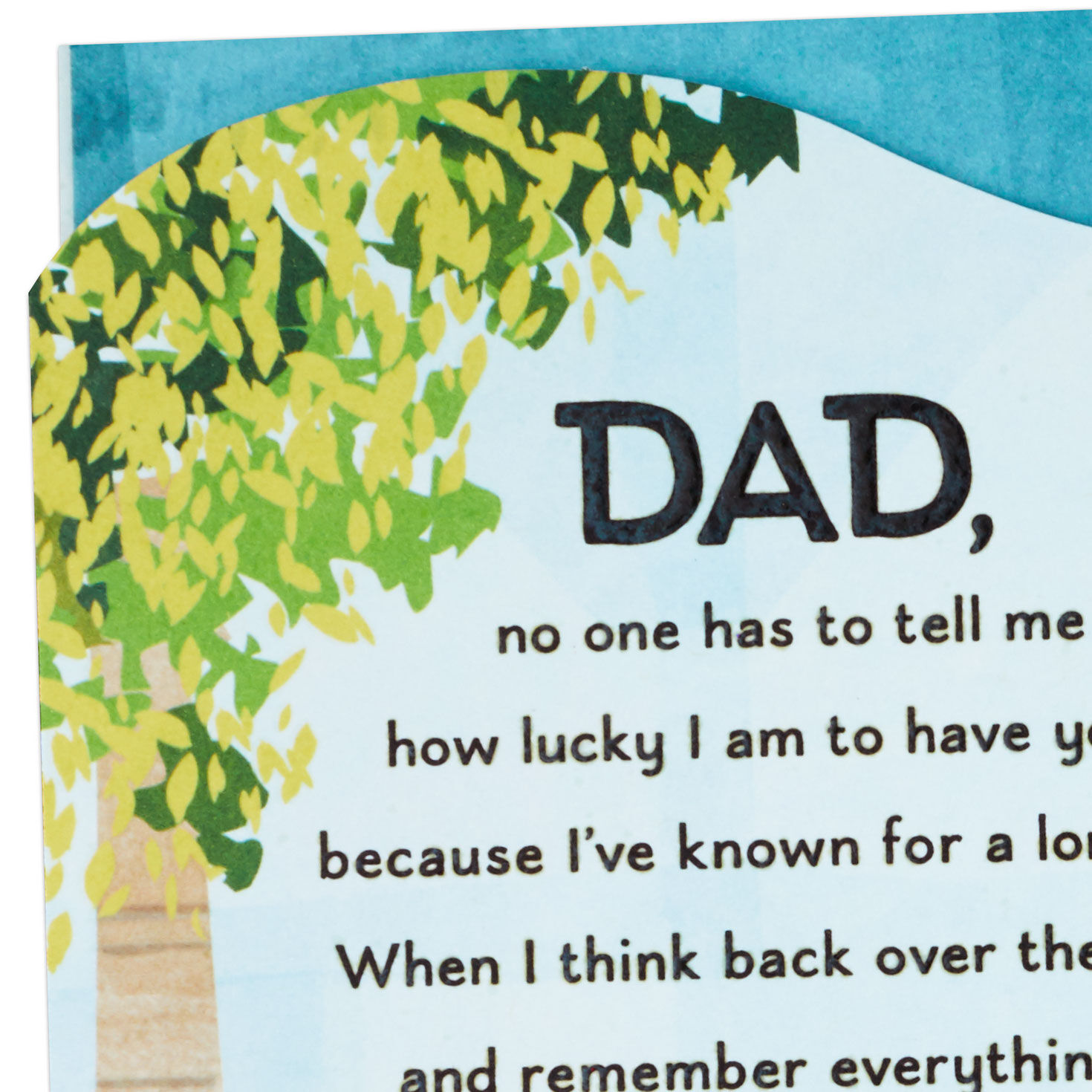 Birch Tree and Blue Sky Dad Father's Day Card Card Cover Detail image number 5