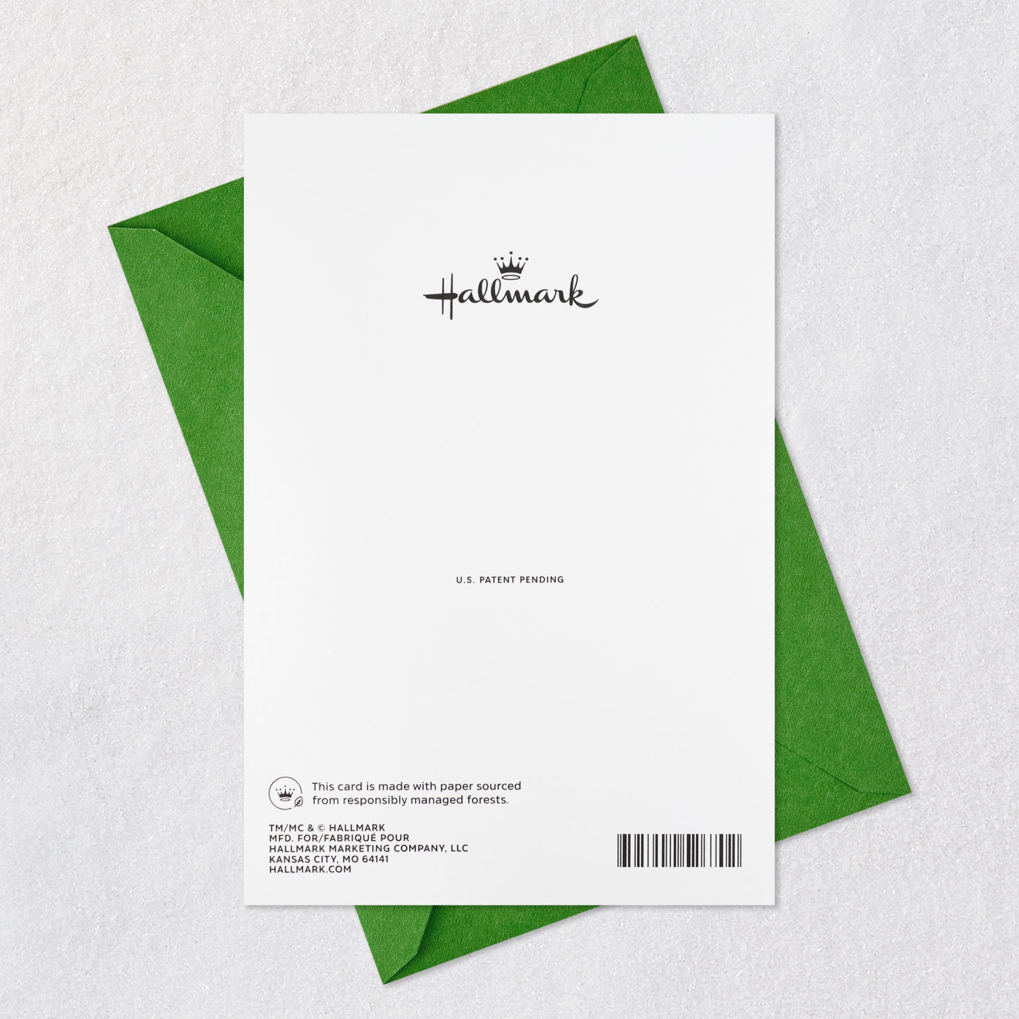 Family Ties Christmas Card for Brother and Sister-and-Law, , large image number 7