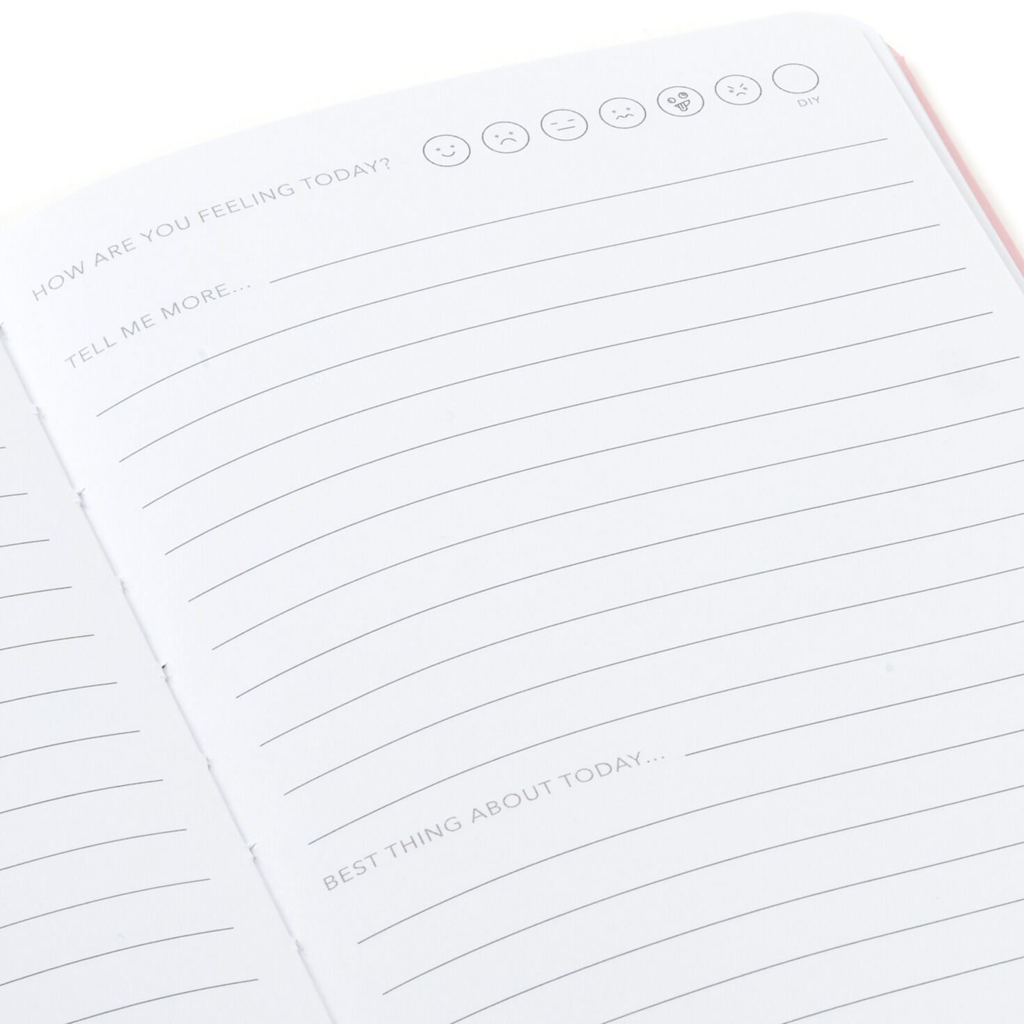 Hallmark Journal All the Feels Prompted Journal - Notebooks & Journals | Hallmark