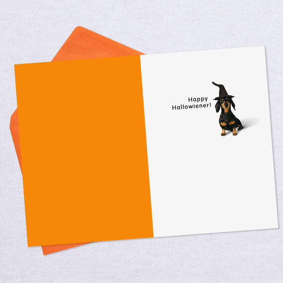 Happy Hallowiener Witch Dog Funny Halloween Card, , large image number 3