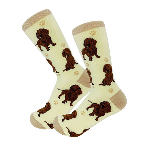E&S Pets Red Dachshund Novelty Crew Socks, 