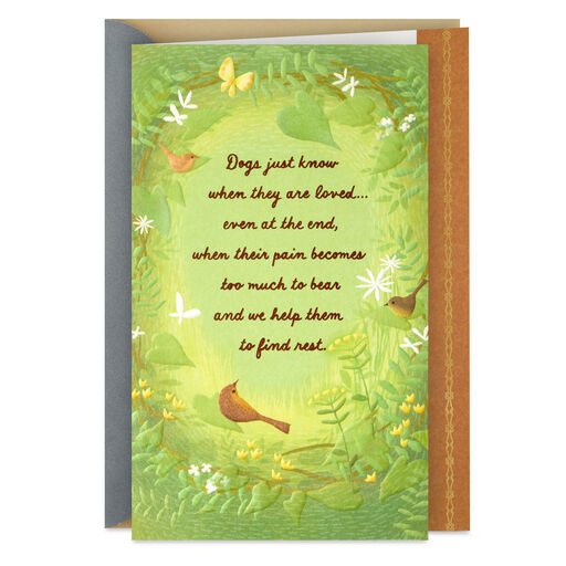 They Know When They're Loved Sympathy Card for Loss of Dog, 