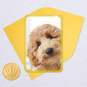 3.25" Mini Fluffy Puppy Dog Blank Card, , large image number 5