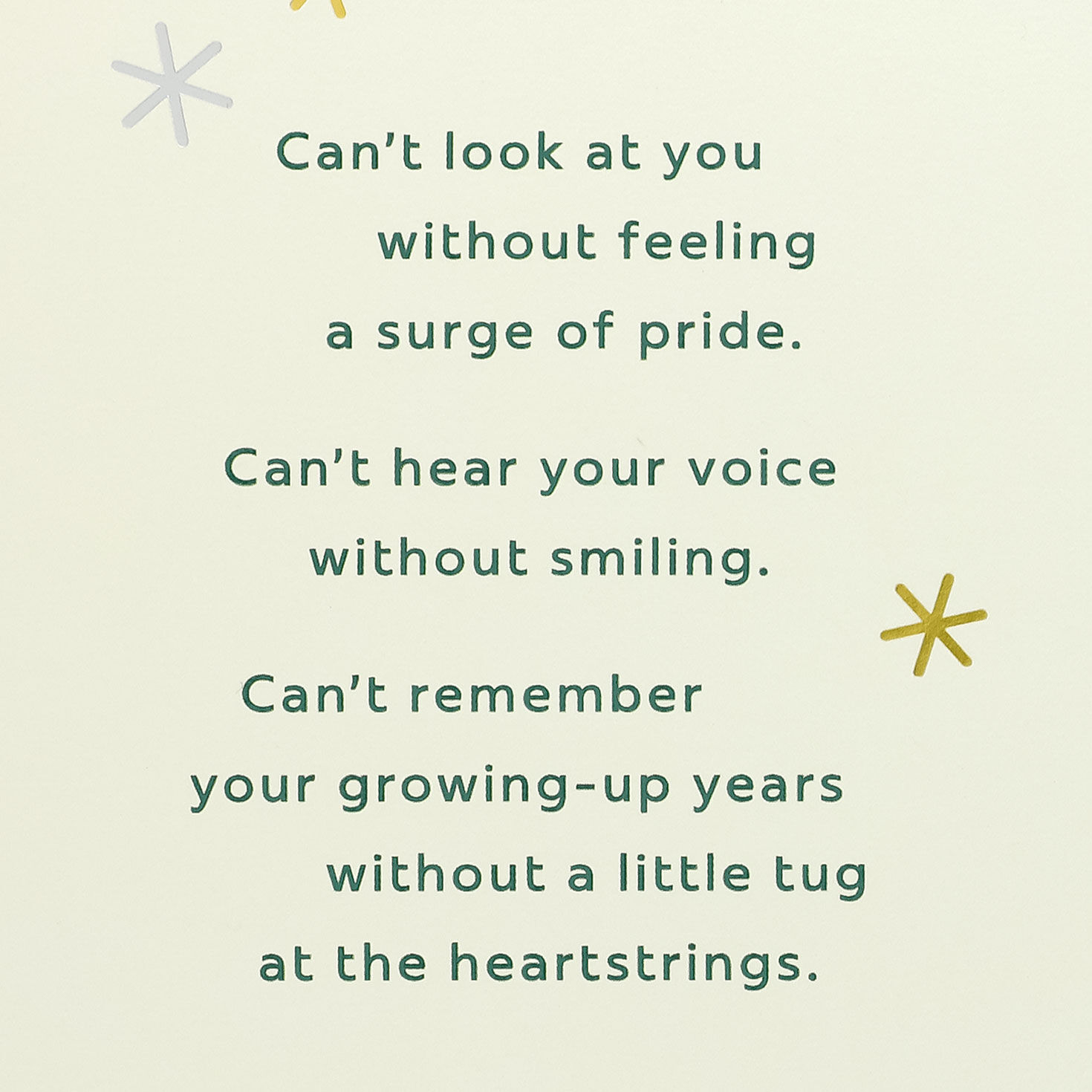 Sage Green, Orange, and Blue Son Birthday Card Sentiment image number 2