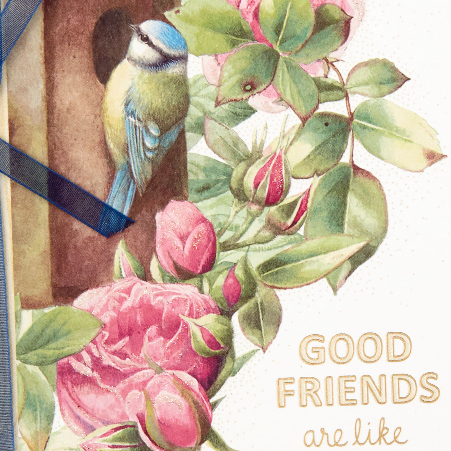 Marjolein Bastin Like Sunshine Friendship Card for only USD 4.99 | Hallmark