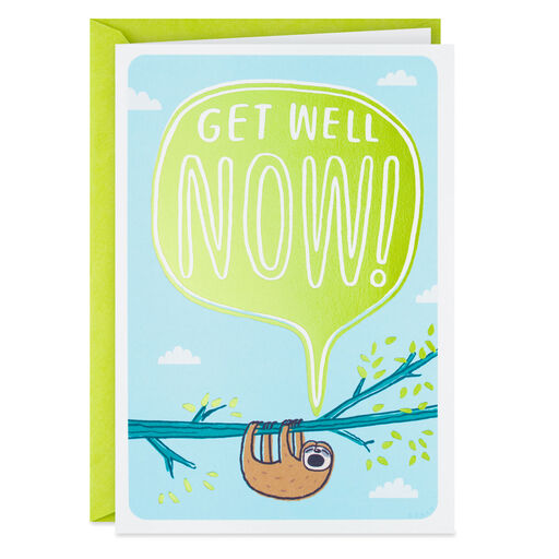 Sorry to Yell Sloth Funny Get Well Card, 