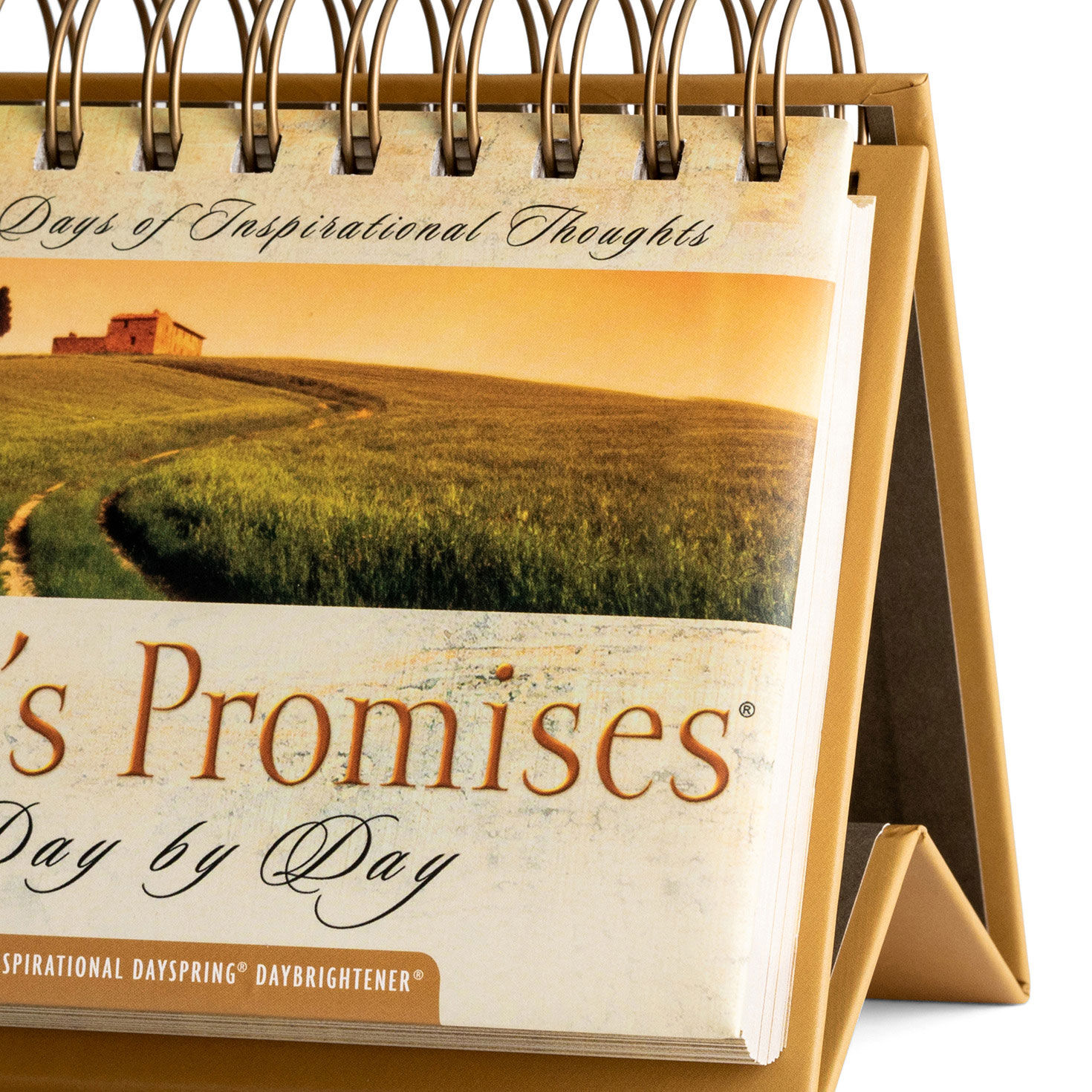 God's Promises 365 Day Perpetual Calendar  image number 5
