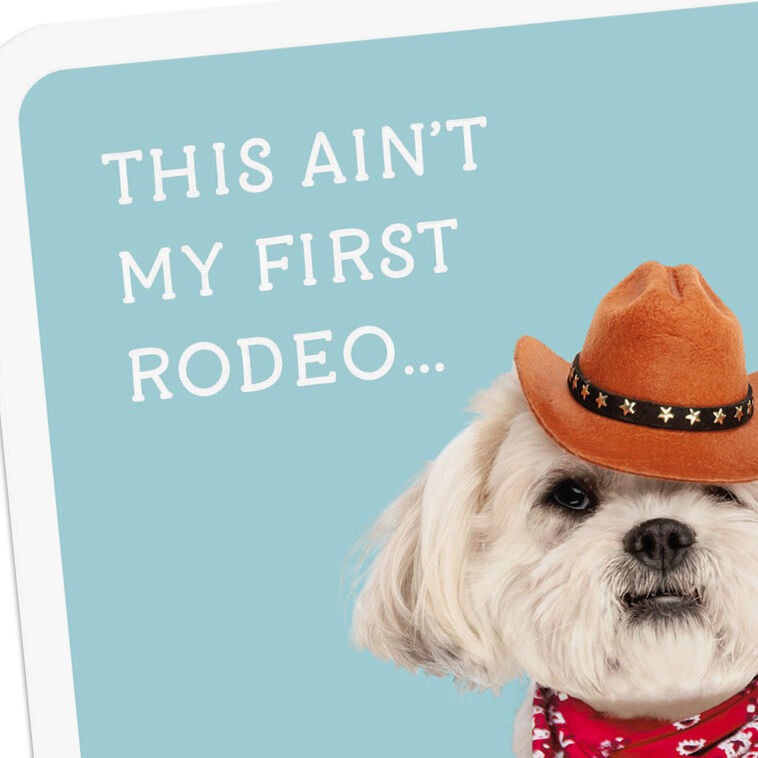 Cowboy Dog Cute Card for Kids Card Front Detail image number 4