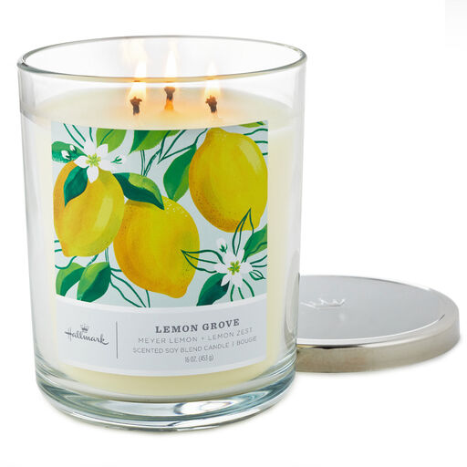 Lemon Grove 3-Wick Jar Candle, 16 oz., 
